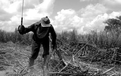 Divulgada a Lista Suja do trabalho escravo