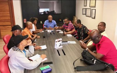 O BRASIL QUE O POVO NEGRO QUER