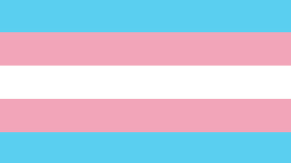 Bandeira orgulho trans